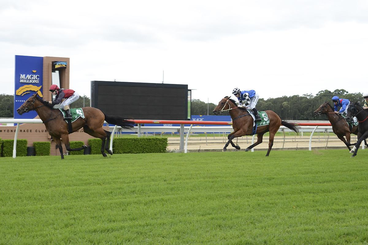 Nip Of Time – Bolting in at Wyong